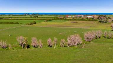 1541 South Road (SH 45)_2