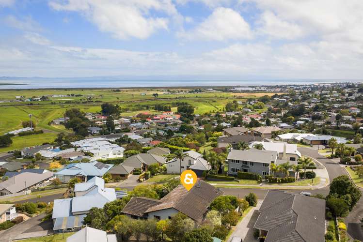 212 The Booms Avenue Thames_30