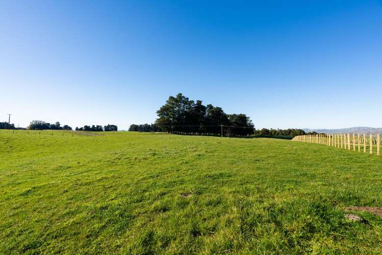 Lot 2 876 Whakapirau Road_5