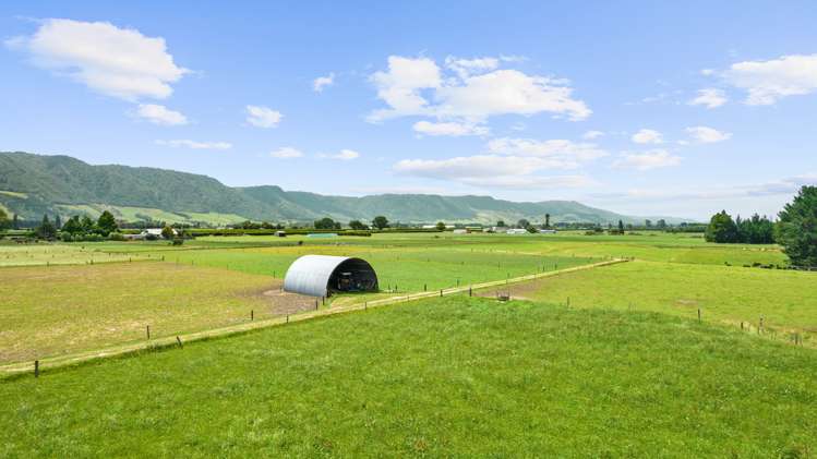 Tower Road Matamata_6