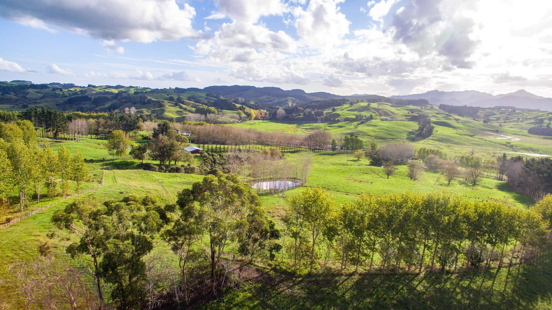 945 Waiotira Road Mangapai and Surrounds_0