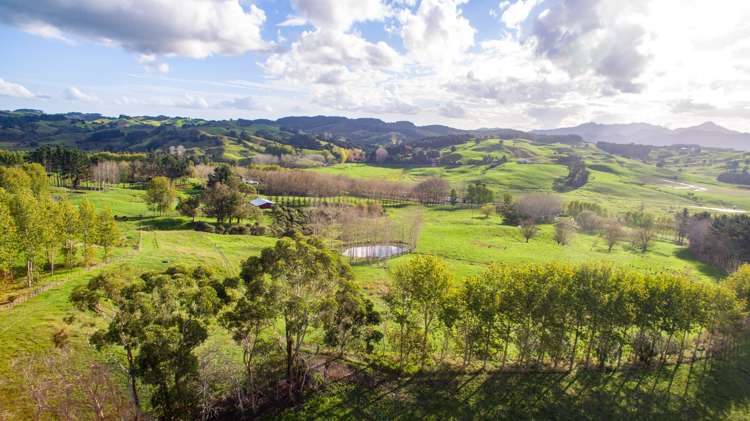 945 Waiotira Road Mangapai and Surrounds_0