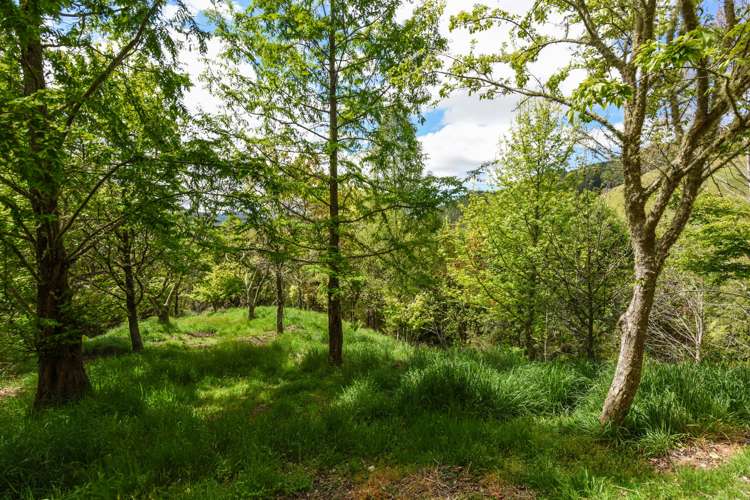 1815 Motueka Valley Highway Ngatimoti_25