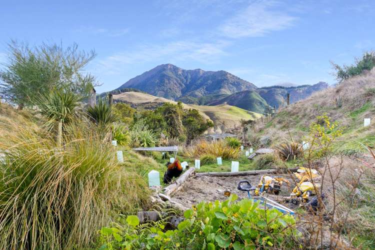 1923 Motueka Valley Highway Ngatimoti_15