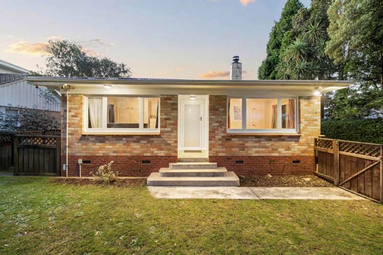 11 McNally Road Pukekohe_15
