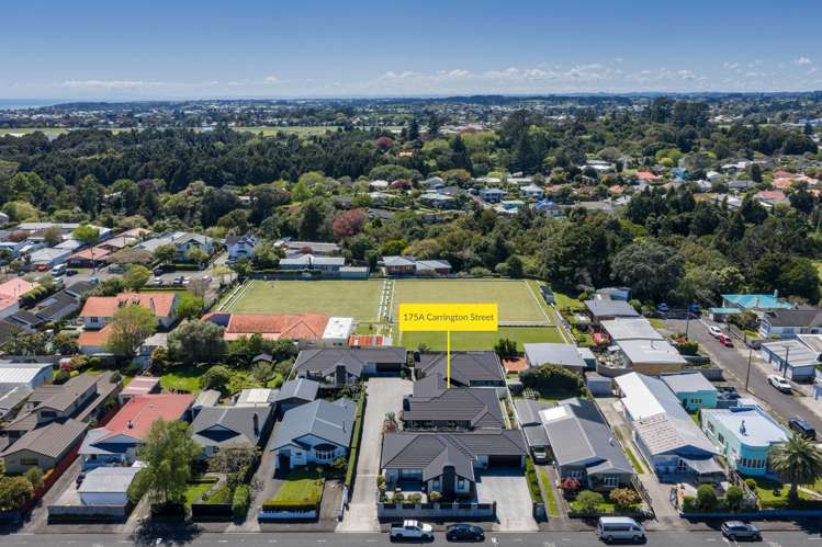 175A Carrington Street Lower Vogeltown_33