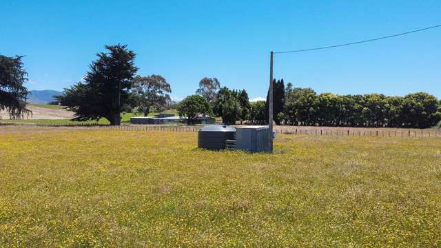 76960 State Highway 2 Dannevirke_3