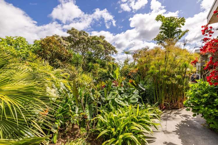 30 Wiroa Road Kerikeri_27