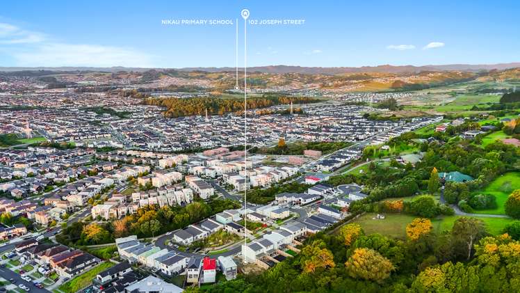 102 Joseph Street Flat Bush_7