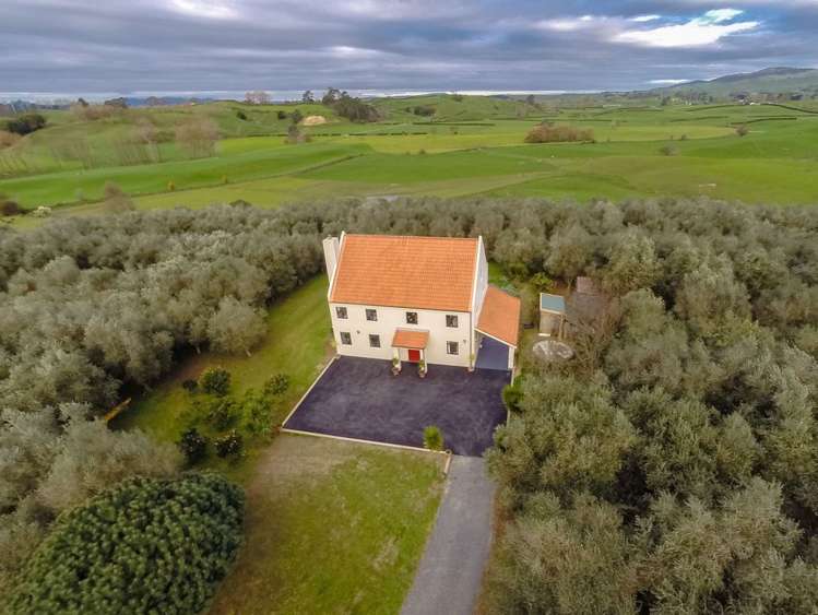 281 Bell Road Morrinsville_18