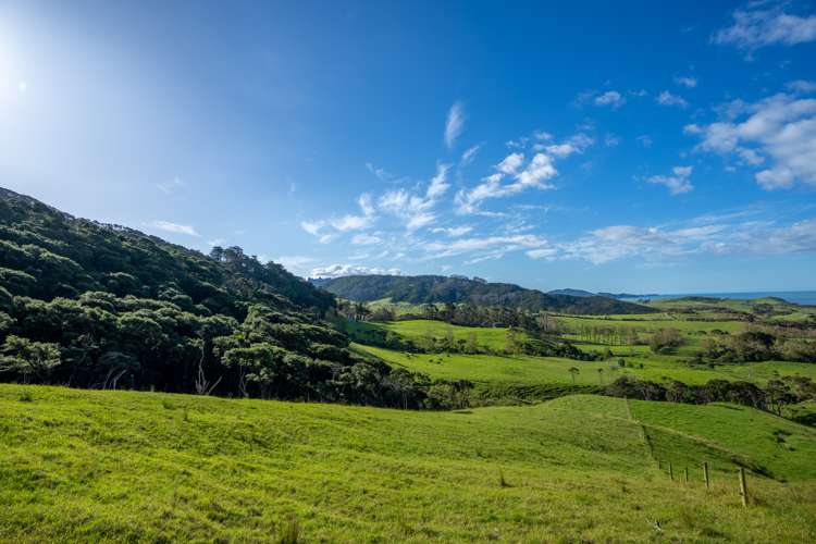 196b Ocean Beach Road Whangarei Heads_15