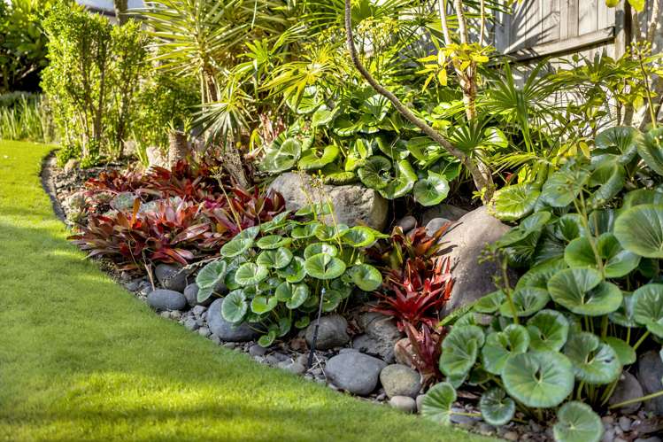 52 Moyrus Crescent East Tamaki Heights_47