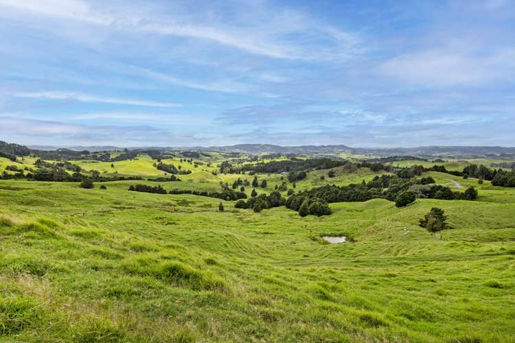 313 Paiaka Road Towai_20