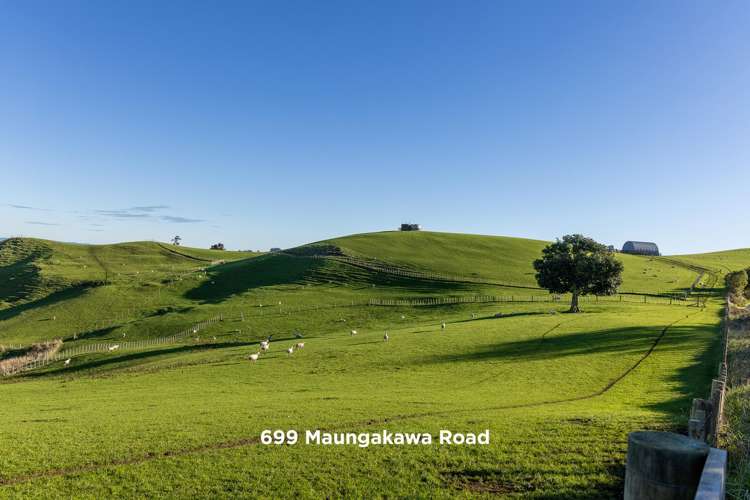 697 and 699 Maungakawa Road Cambridge_11