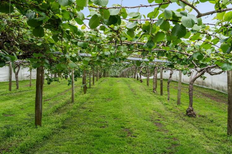 121A No 4 Road Te Puke_5