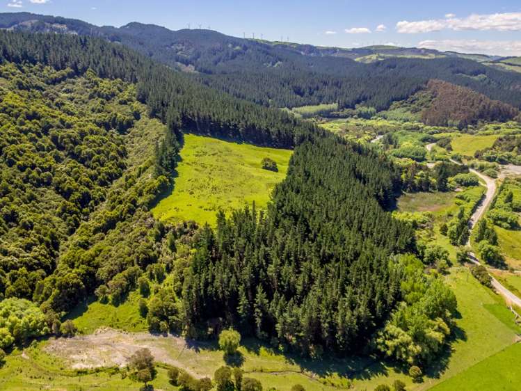 2928 White Rock Road Tuturumuri_21