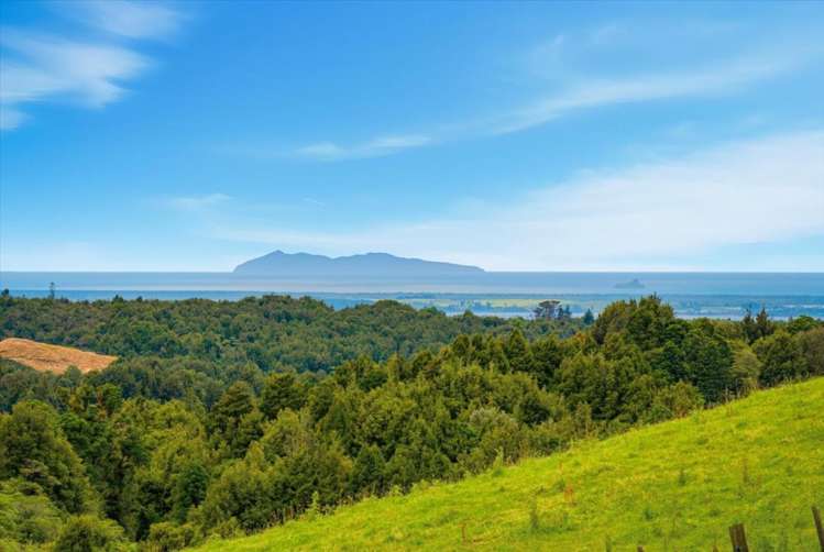 938c Whakamarama Road Whakamarama_4