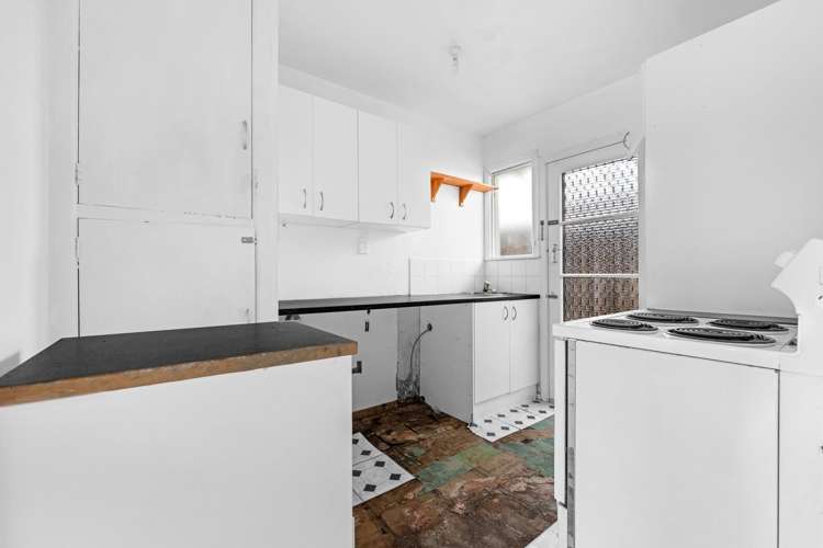 1/10 Domain Road Panmure_5