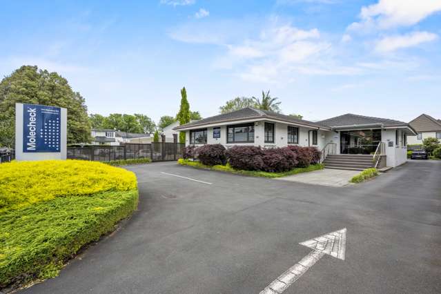 193 Manukau Road Epsom_2