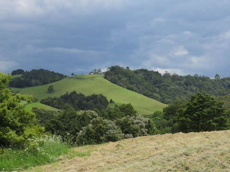 Pataua North Road Pataua_10