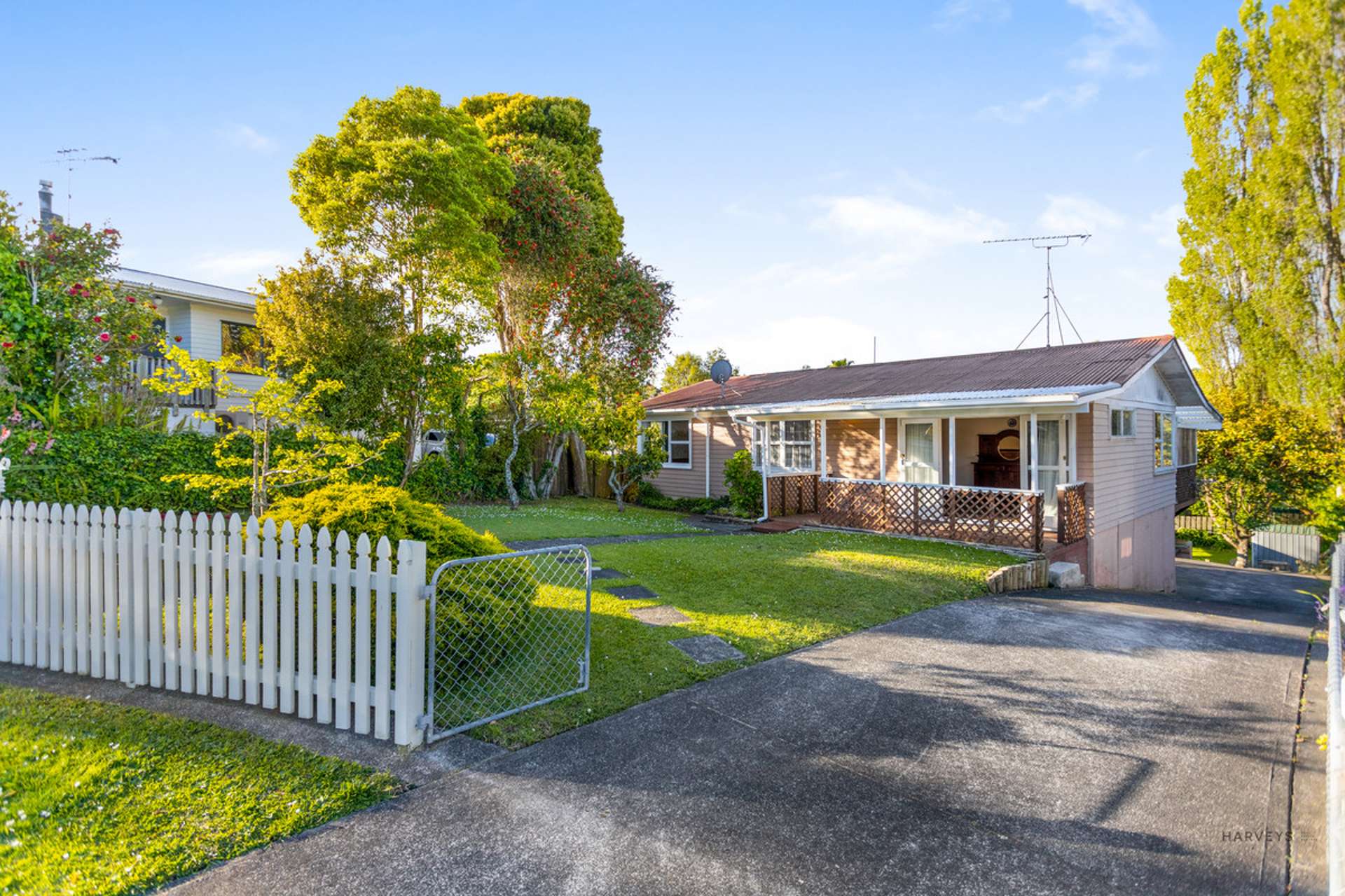 8 Surat Place Glen Eden_0