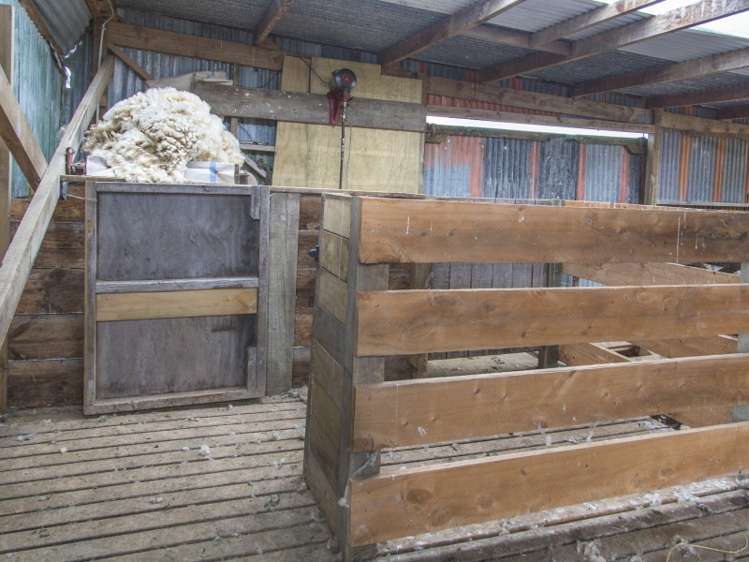 78 Morrison Road Arapohue_23