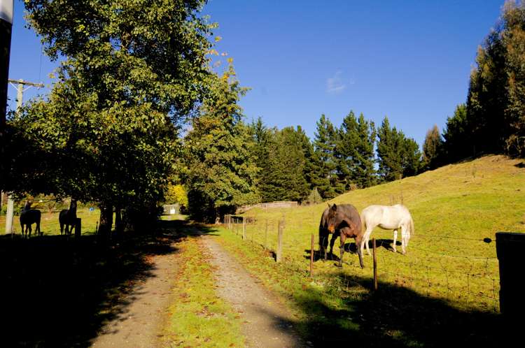 22 Reid Road Herbert_25