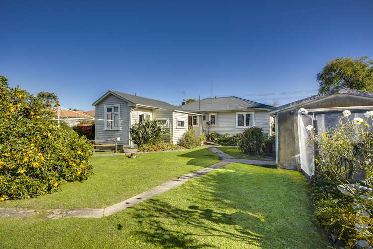 60 Napier Street Jervoistown_15