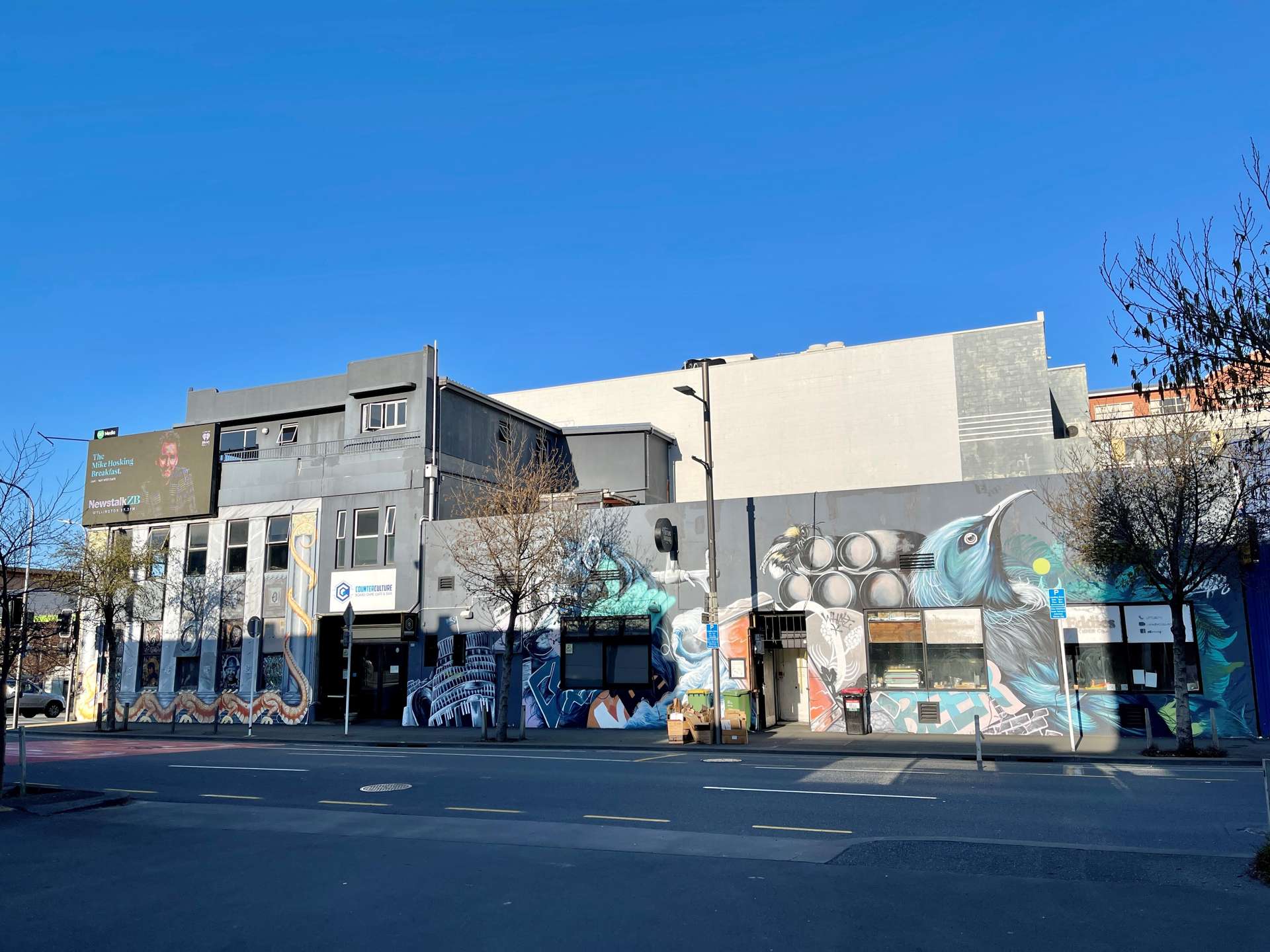 187 Vivian Street Te Aro_0