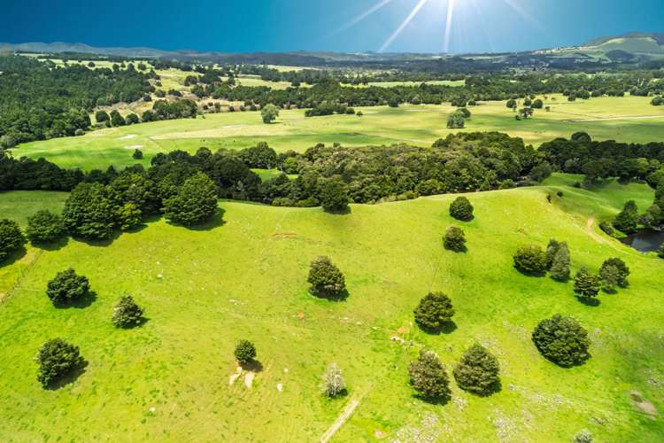 509B Mataraua Road Kaikohe_41