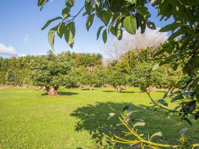 38 Forest View Road Kamo_3