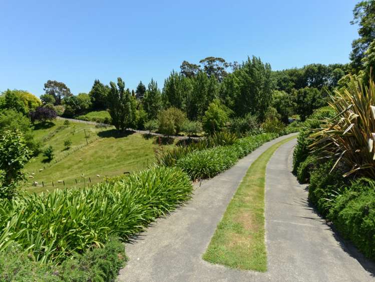 146 Poraiti Road Poraiti_17