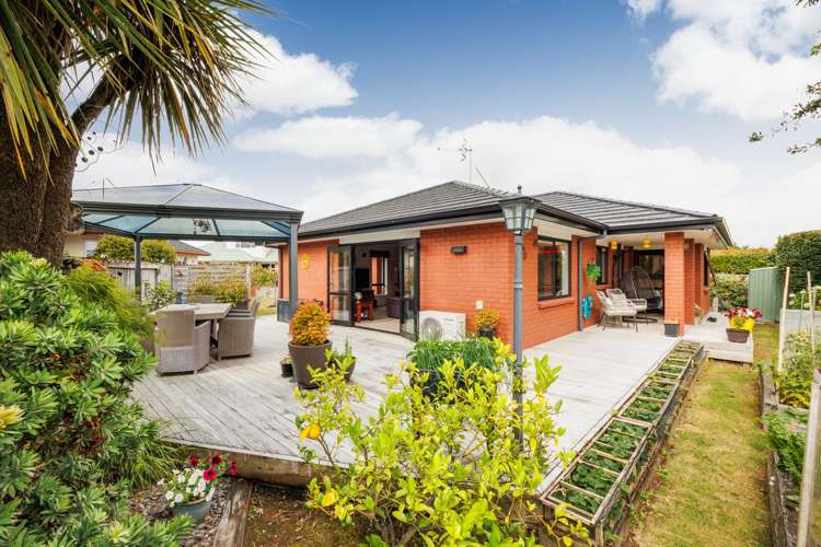 3 Morgan Mews Feilding_5