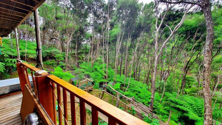 48 Schoolhouse Bay Road Kawau Island_16