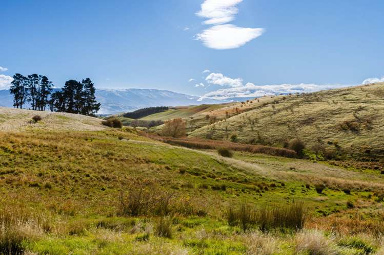 187 Hawksburn Road Nevis_26