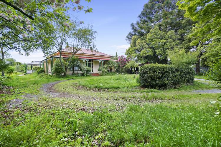 65 Worksop Road Masterton_31