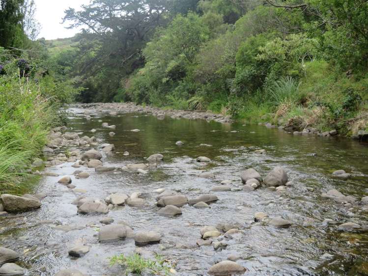 20 Tapu Coroglen Road Tapu_16