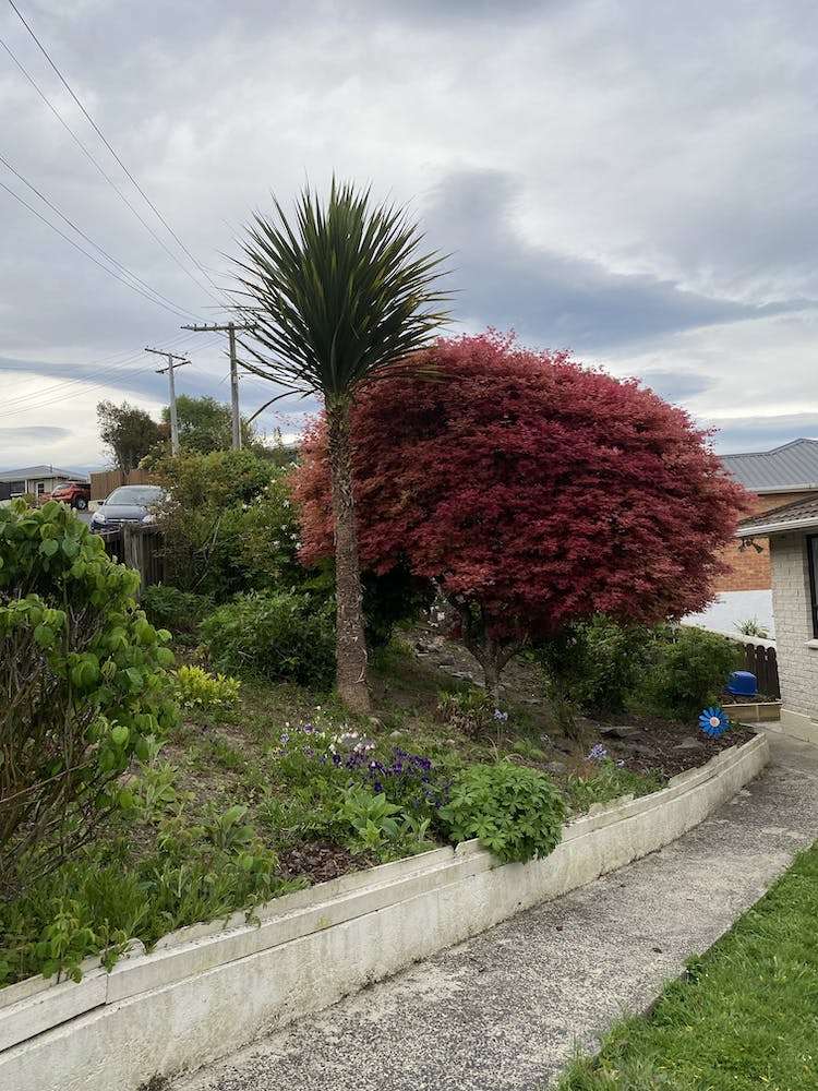 12 Salisbury Road Bradford_6