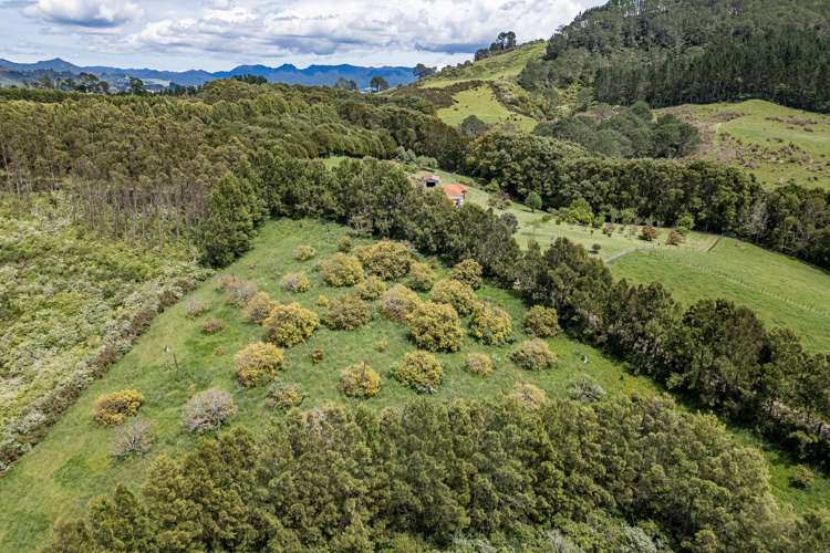 89 Purangi Road Purangi_22