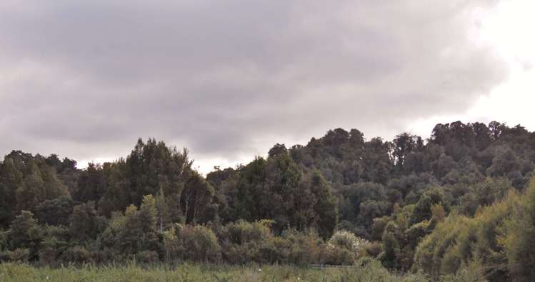 177 Maori Creek Road Marsden_11