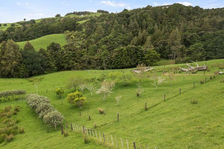 151 Kereru Lane Kaiwaka_30