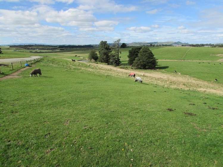 289 Lady Charlton Road Gore Surrounds_18