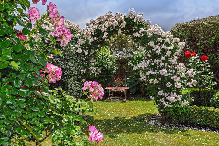 24 Brompton Drive Taradale_22