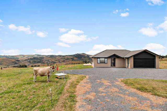 317 Onewhero-Tuakau Bridge Road Onewhero_1