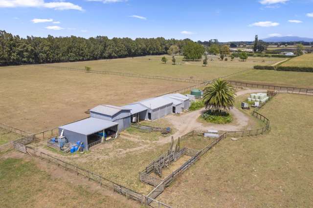 854b Tauwhare Road Tauwhare_2