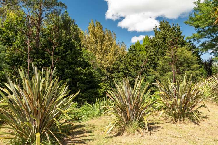 49 Mangotahi Road Thames_25