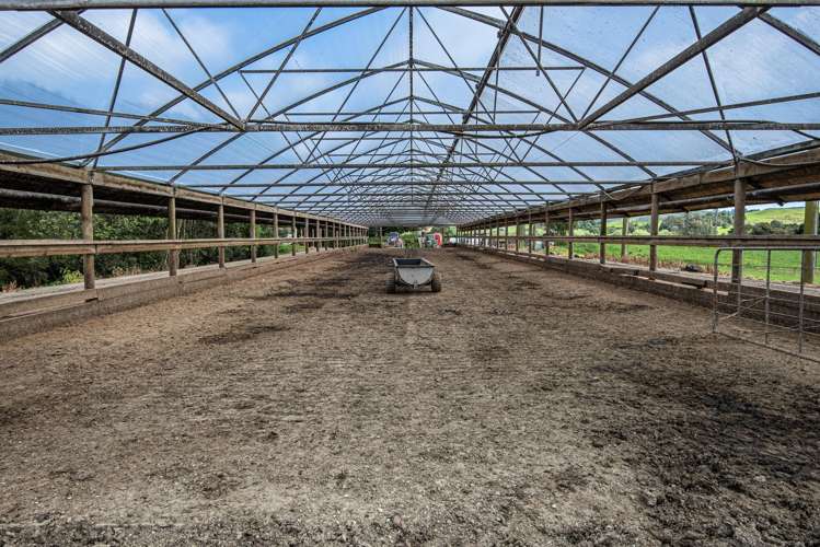 45 Jack Road Pakotai_8