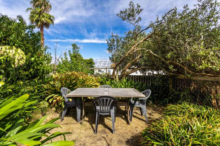 10 Norfolk Street Ponsonby_22