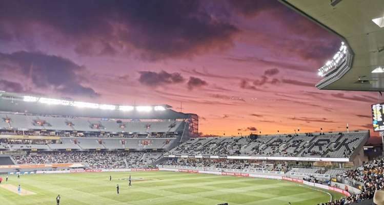 11/62 Grange Road Mount Eden_14