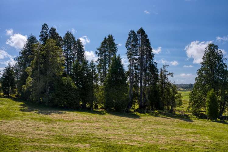 Lot 1 DP 596926 Woodstock-Rimu Road Hokitika_7